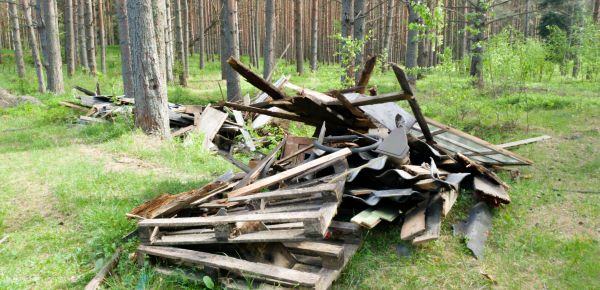 Debris Removal Service in Jacksonville